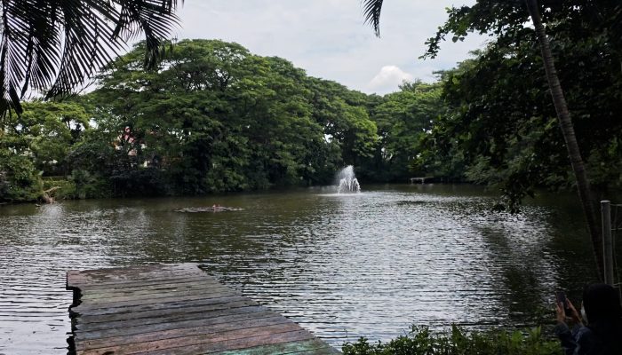 ​Perluas Zona Hijau, Pemkot Surabaya Optimalkan Fungsi Ekologis Kebun Bibit